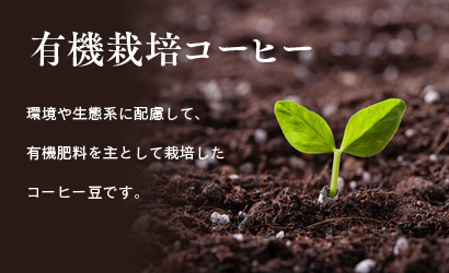 有機栽培コーヒー 環境や生態系に配慮して、有機肥料を主として栽培したコーヒー豆です。