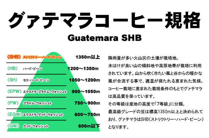 グァテマラSHB・ストリクトリーハードビーンズ、標高1350m以上で栽培