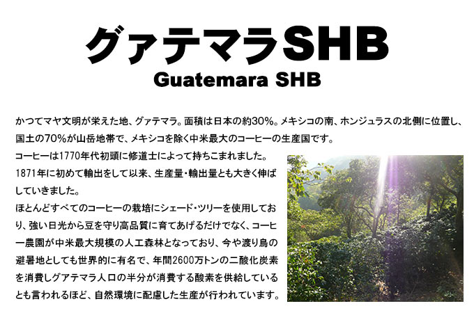 グァテマラSHB・ストリクトリーハードビーンズ、標高1350m以上で栽培