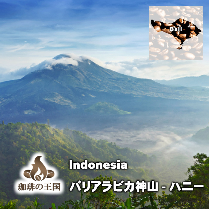 【今月のサービス豆】バリアラビカ神山(200g/生豆時)ハニープロセス