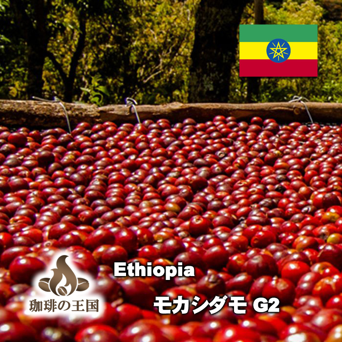 【送料無料】モカシダモG2(1kg)