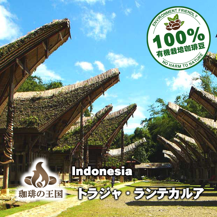 トラジャ・ランテカルア(200g/生豆時)有機栽培コーヒー豆 無農薬
