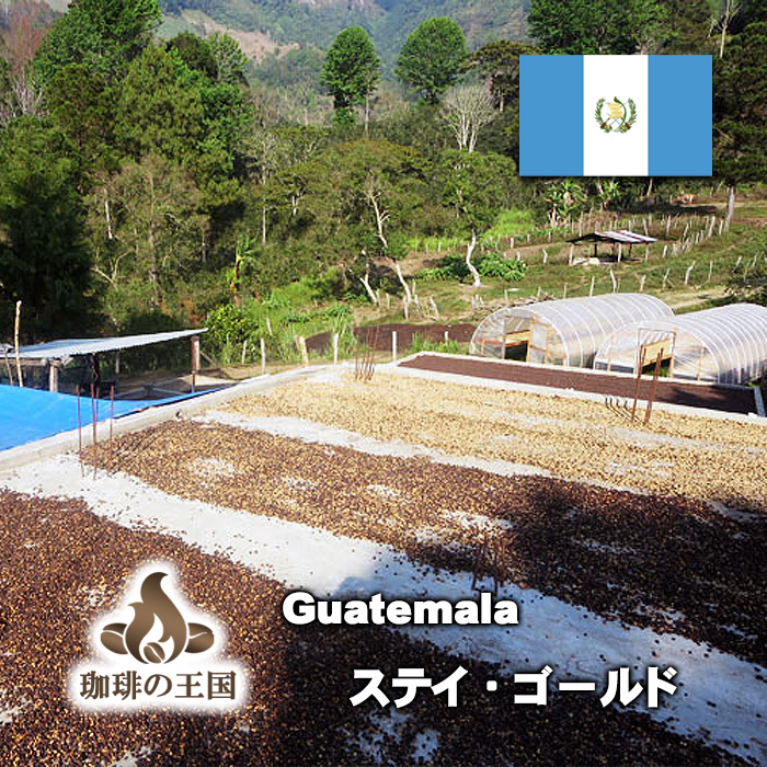 ステイゴールド(200g/生豆時) グァテマラ STAY GOLD
