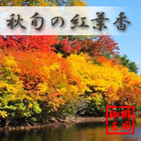 販売期間：10月1日～11月30日　　【秋季限定】秋旬の紅葉香(200g/生豆時)