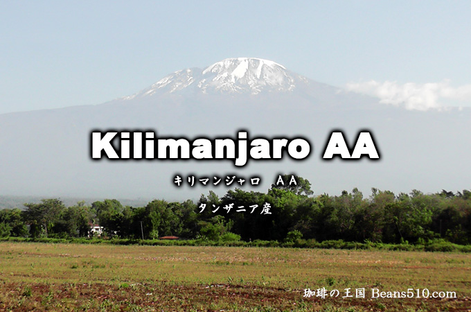 【先月のサービス豆】キリマンジャロAA(200g)
