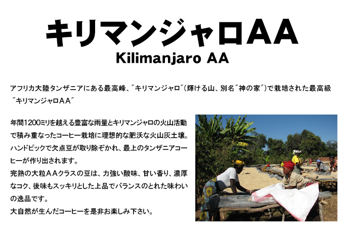 【今月のサービス豆】キリマンジャロAA(200g)