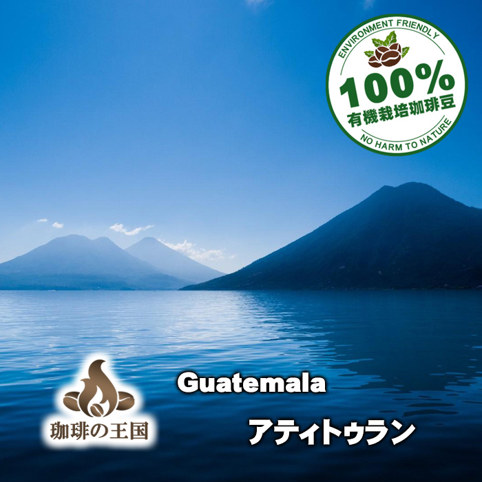 グァテマラ・アティトゥラン(200g/生豆時)有機栽培コーヒー豆 無農薬