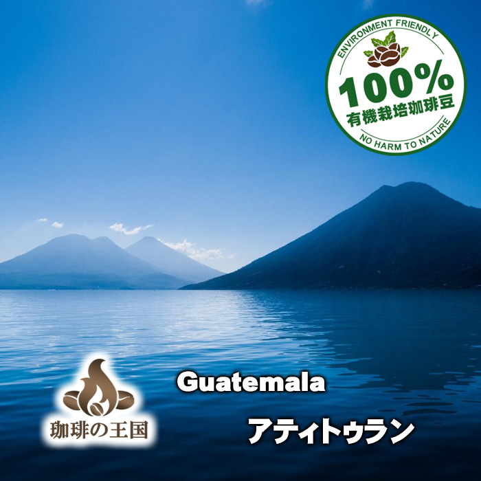 【送料無料】グァテマラ・アティトゥラン(1kg)有機栽培コーヒー豆